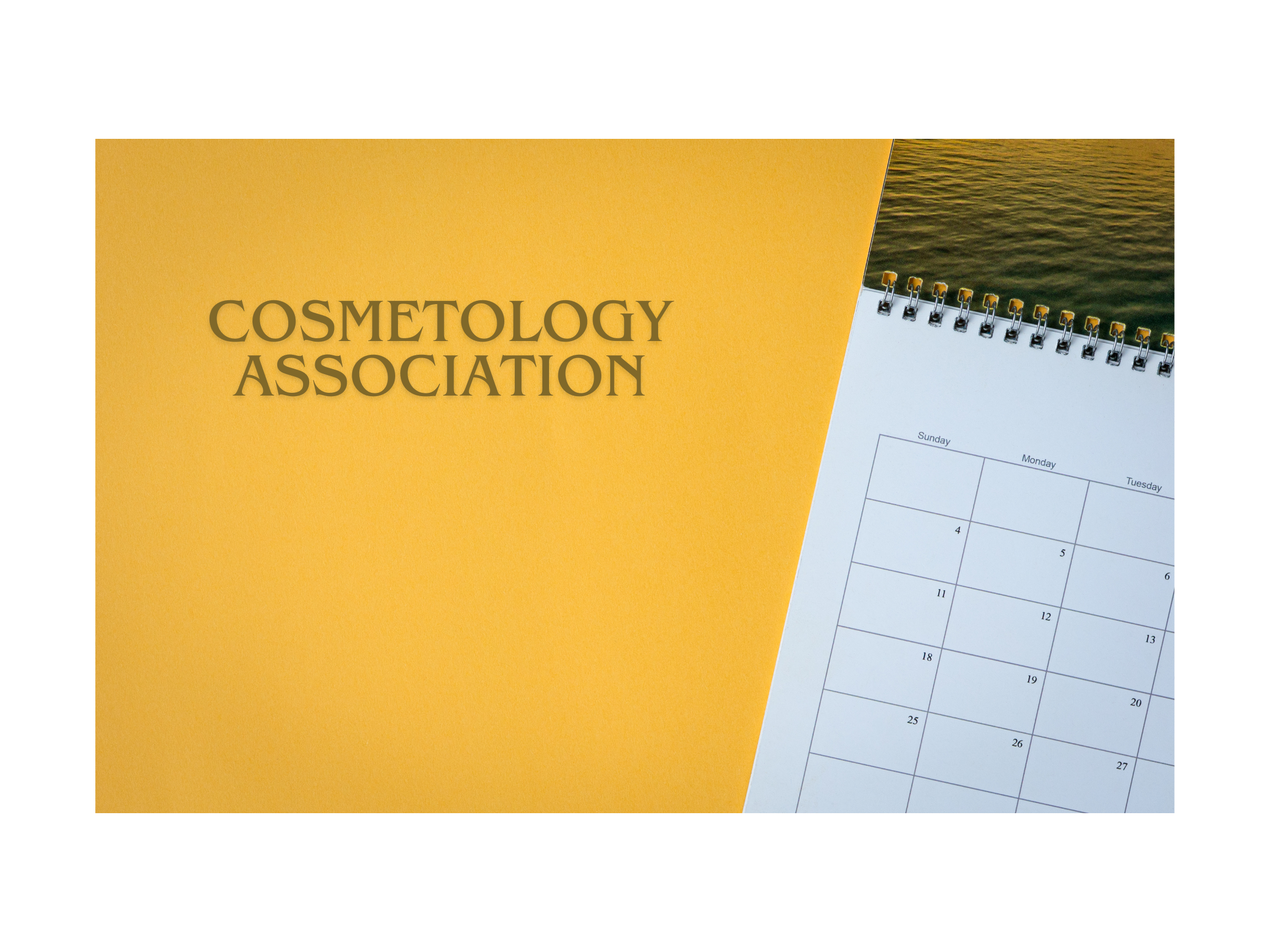 cosmetology%20association